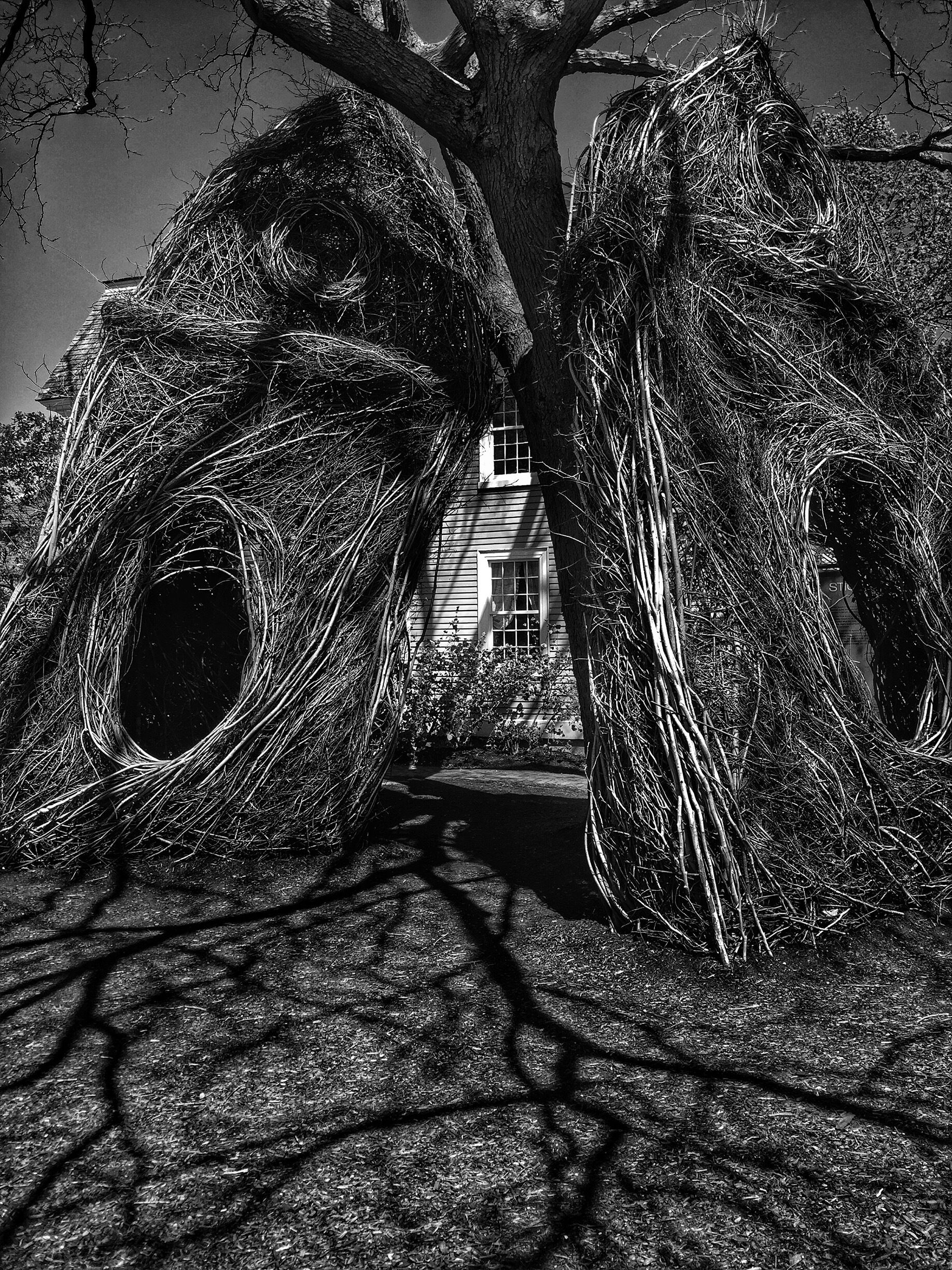 Amazing stickwork. Very creepy. #blackandwhite #roadtrip