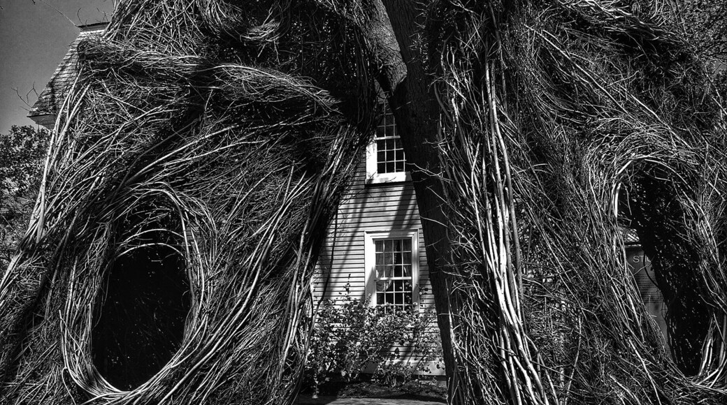 Amazing stickwork. Very creepy. #blackandwhite #roadtrip