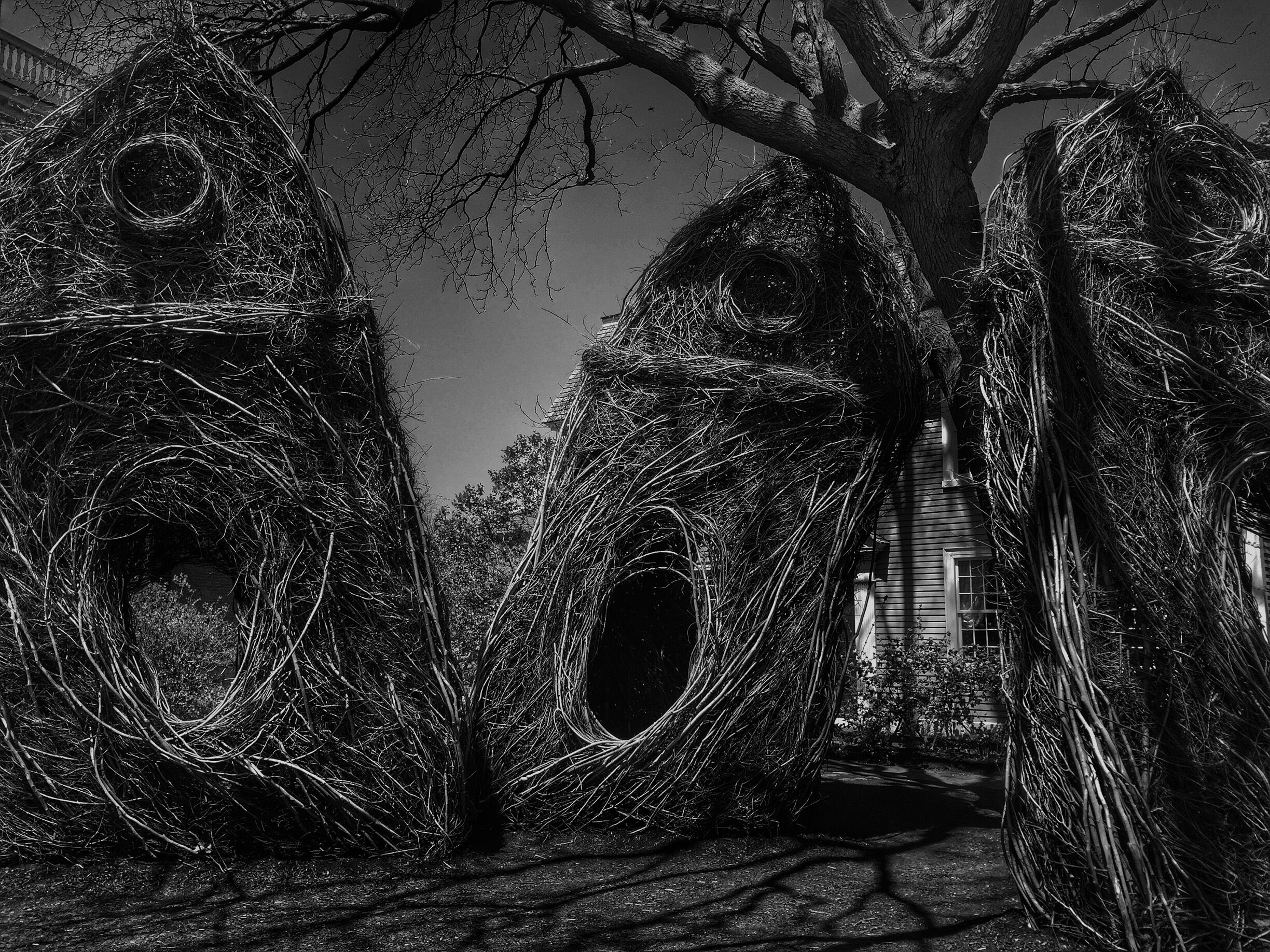 Amazing stickwork by Patrick Dougherty. #blackandwhite #roadtrip #art #LumixGX7 #Leicalens #shadow #spooky #creepy. 