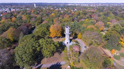 Washington Tower in Mount Auburn Cemetery in fall, Watertown, Greater Boston Area, Massachusetts, USA.