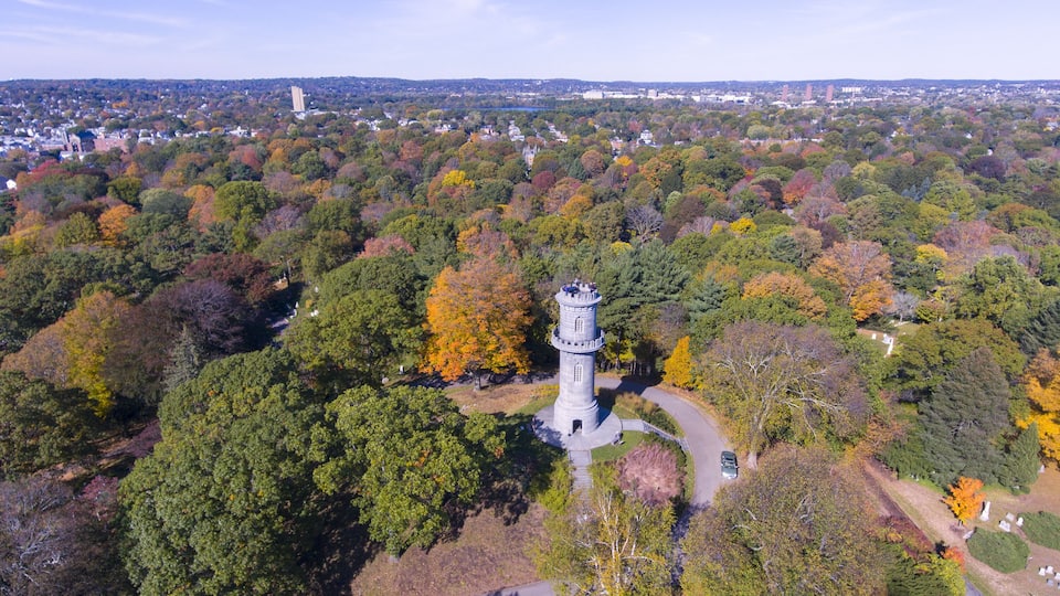 An aerial view of a park with a prominent tower, surrounded by dense trees in autumn colors, and a distant cityscape.