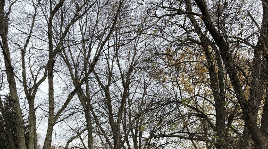 Apparently this is the year they are going to do a bigger museum.