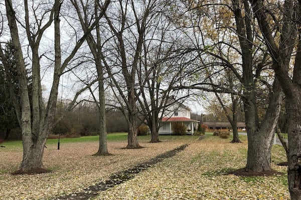 Apparently this is the year they are going to do a bigger museum.