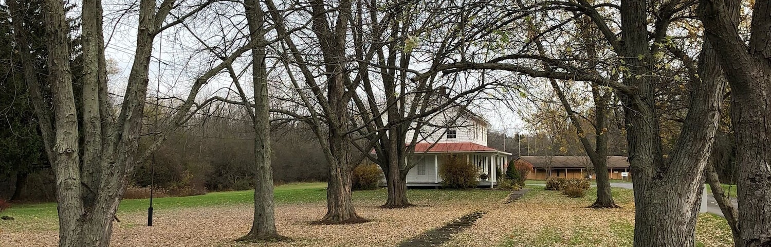 Apparently this is the year they are going to do a bigger museum.