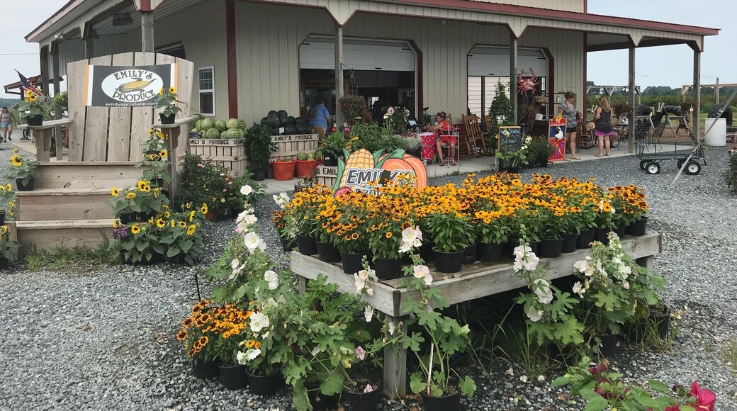 Such a wonderful brunch spot