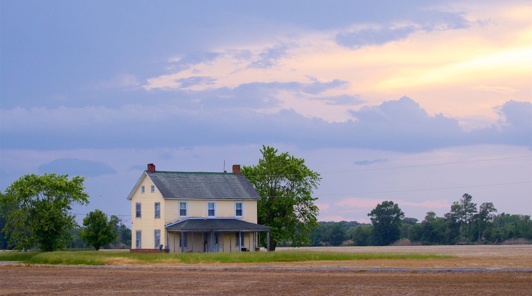 Cambridge showing a house, a sunset and farmland