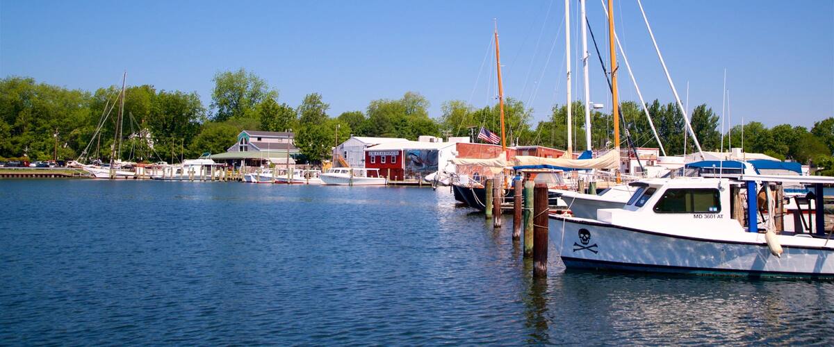 A marina with several boats docked, a building with a sign, and trees in the background.