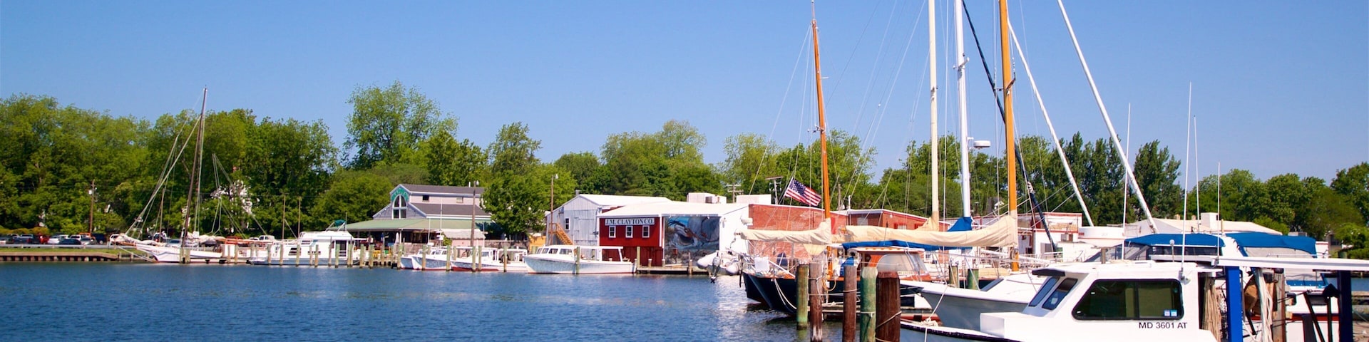 A marina with several boats docked, a building with a sign, and trees in the background.