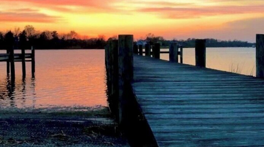 A photo that made me realize I wanted to be a photographer. #photo
#adventure
#nature