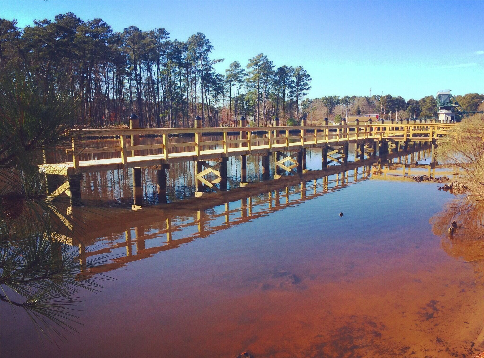 Lovely day for a walk. Virginia #beach