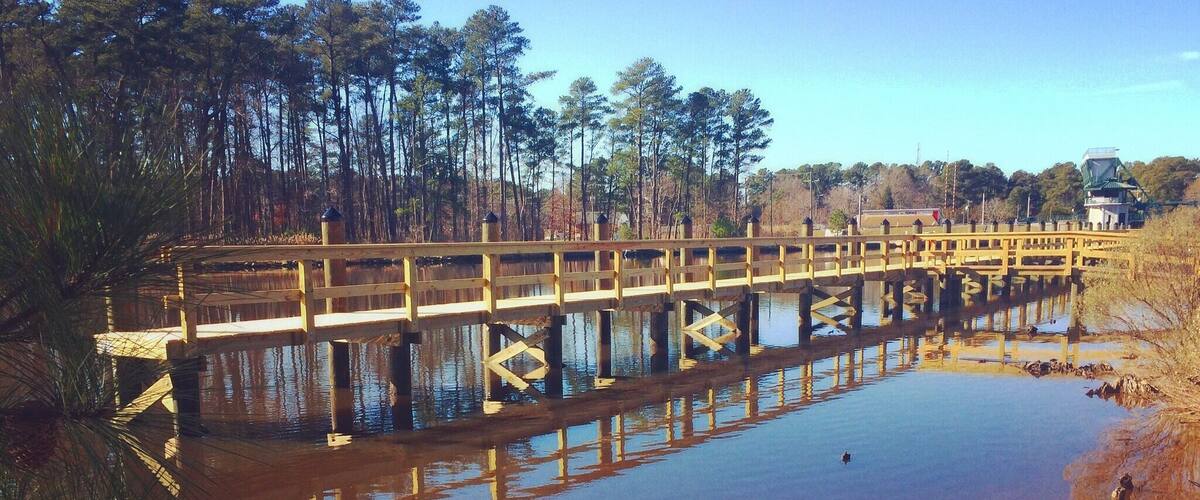 Lovely day for a walk. Virginia #beach