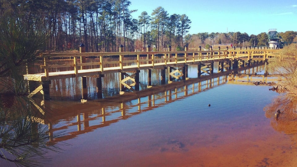 Lovely day for a walk. Virginia #beach