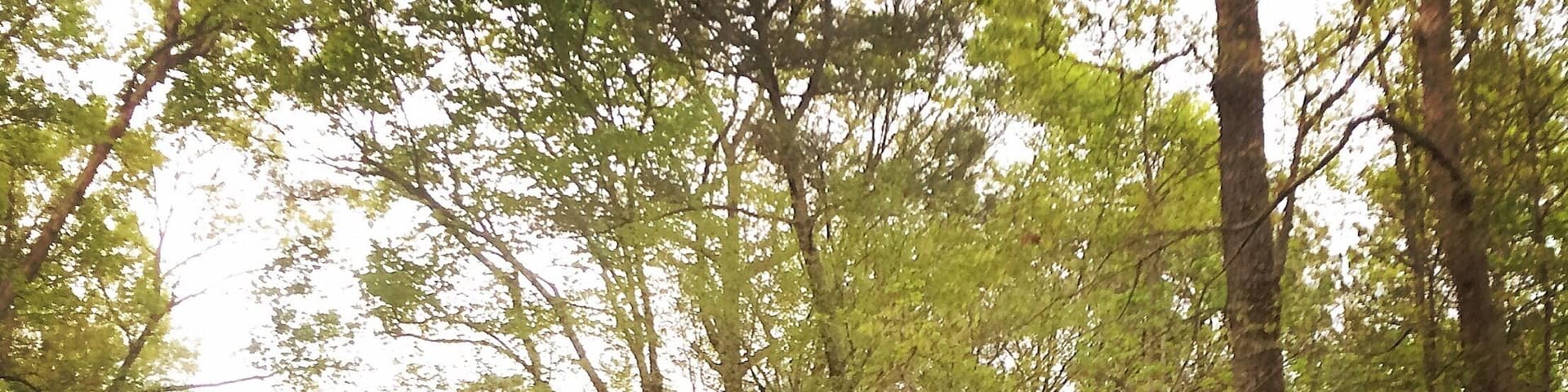 #nationalpark. Open until 3 pm on one side and to sunset on the other entrance.
Closed Sunday's. Bring big spray :)