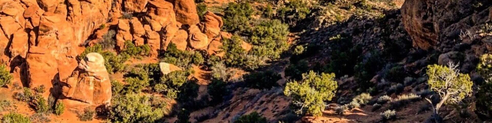 Moab, Utah
#trovember #moab #utah #arches #daysthatlastforever #beauty #sweetsummertime