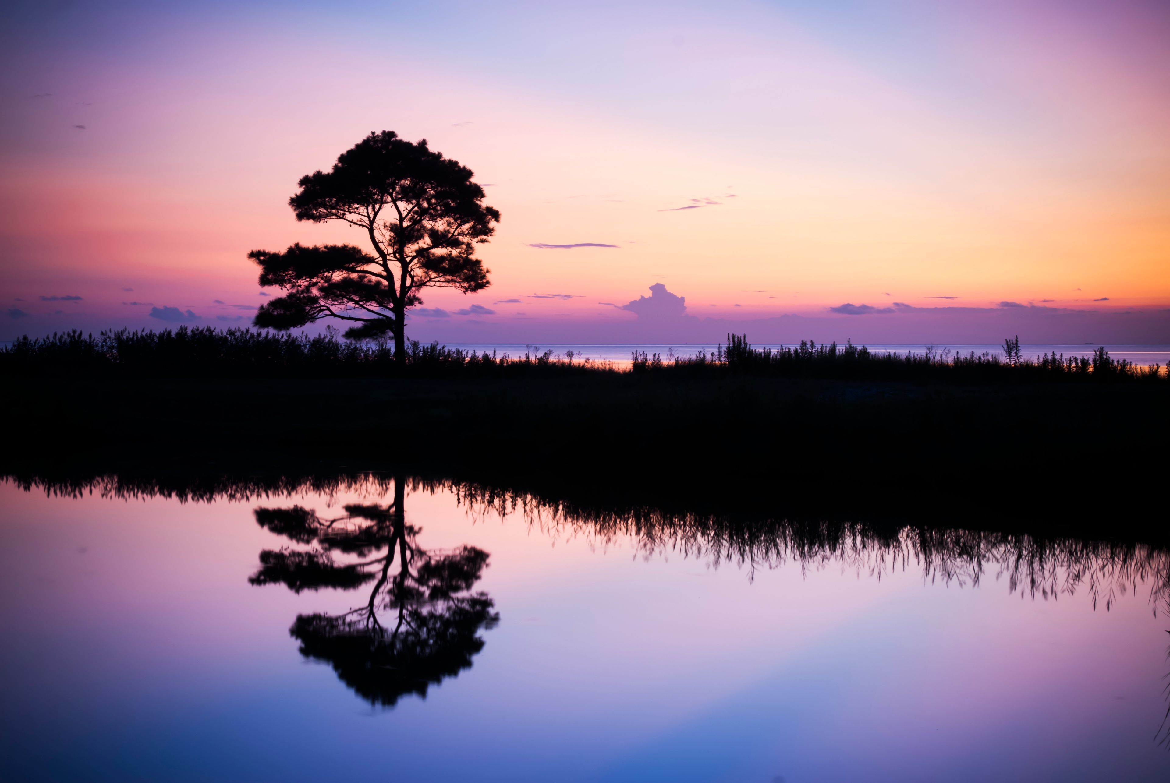 A solitary tree silhouetted against a sunset sky, reflected in calm water.