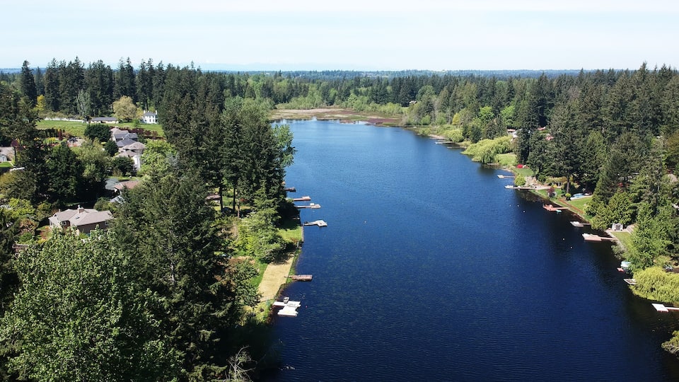 A river winding through a densely forested area with houses on the banks.