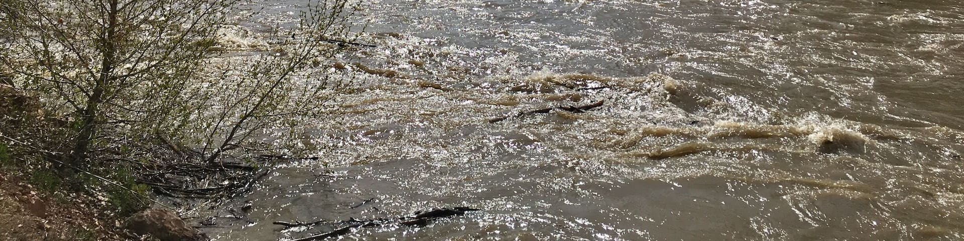 The rushing Salmon River in Challis Idaho. Very loud and fast.
#Idaho #springfreshet
(May 2017)