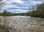 The rushing Salmon River in Challis Idaho. Very loud and fast.
#Idaho #springfreshet
(May 2017)