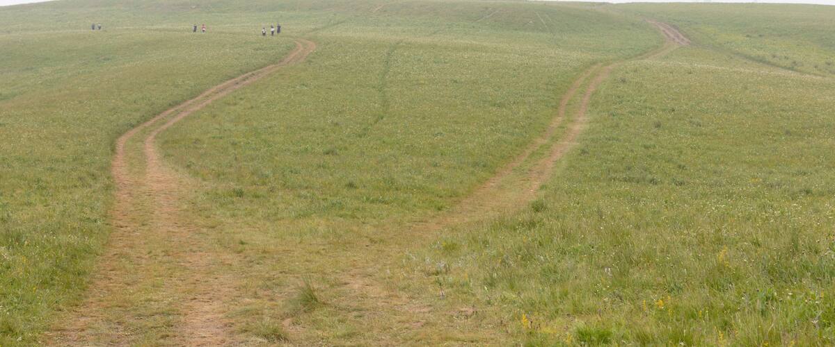 A grassy hill with a winding path and wind turbines in the distance.