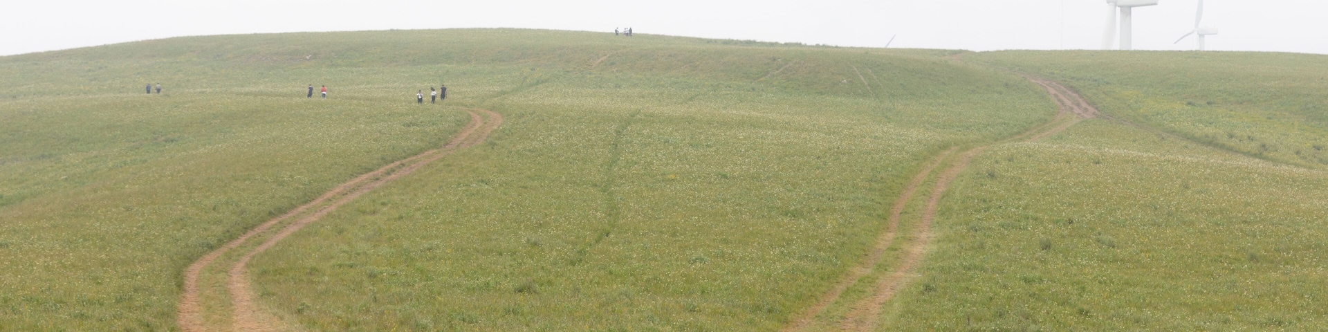 A grassy hill with a winding path and wind turbines in the distance.