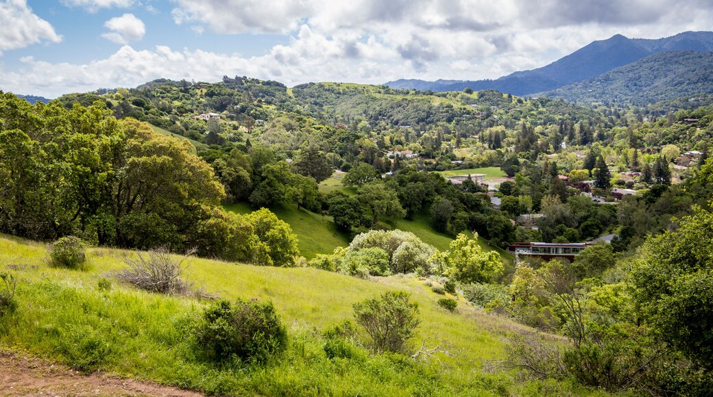 San Anselmo