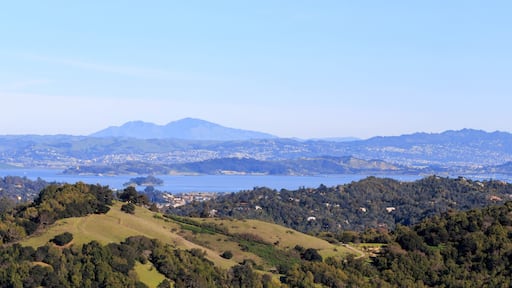 サン アンセルモ