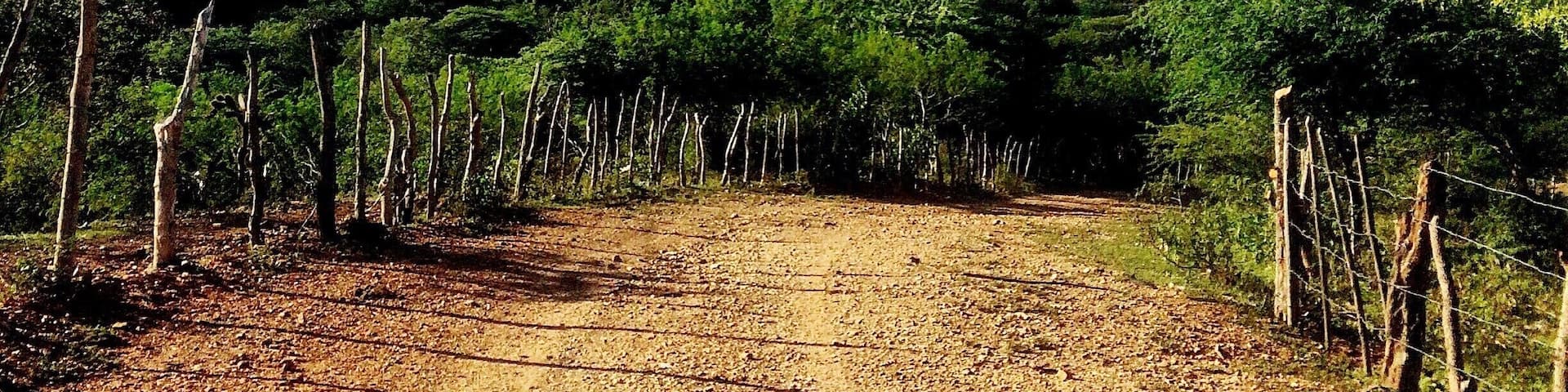 Breathtaking views from the remote mountains of Ocotal, Nueva Segovia. #trovember #hiddengem #mountains #blueskies #clouds #dirtroads