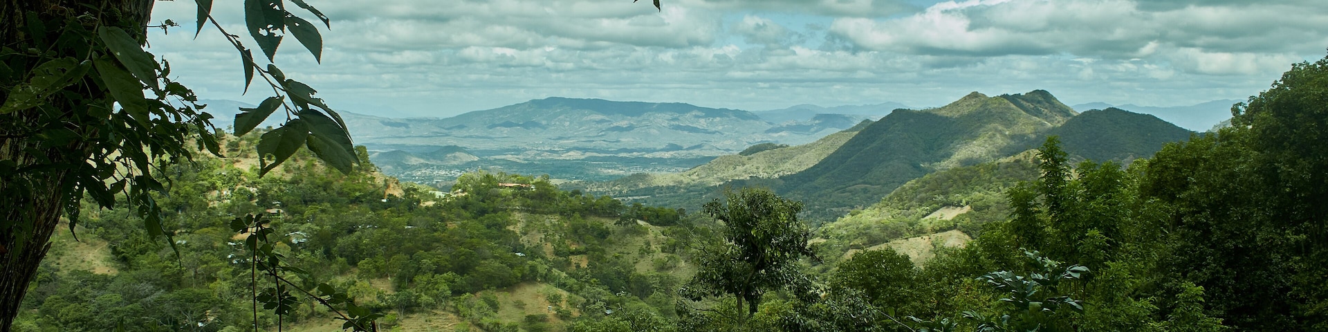 Um vale verdejante com montanhas ao fundo e uma árvore em primeiro plano.