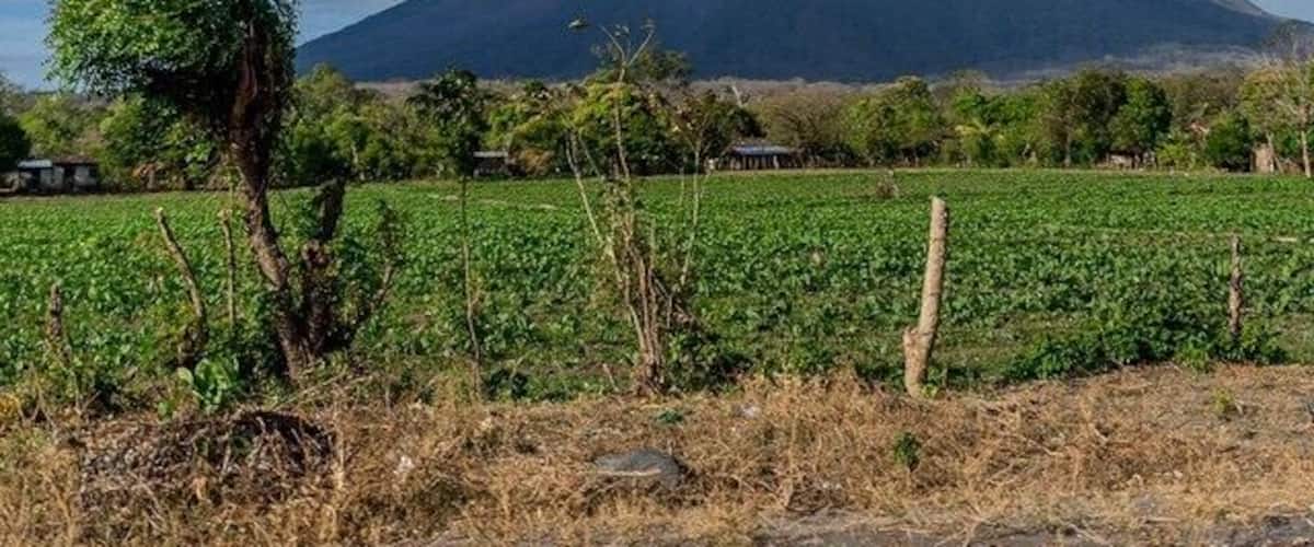 Found some pretty good views of this beauty when driving around Ometepe Island! #Island #volcano #nicatravel #nicaragua #travelingtheworld #volcano #volcanoisland #travel #tbt #nature #wanderlust #thetwohobos #wonderful_places #explore #adventure