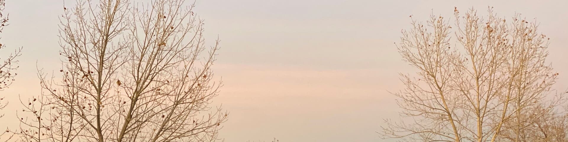 This was a great place for an evening stroll.