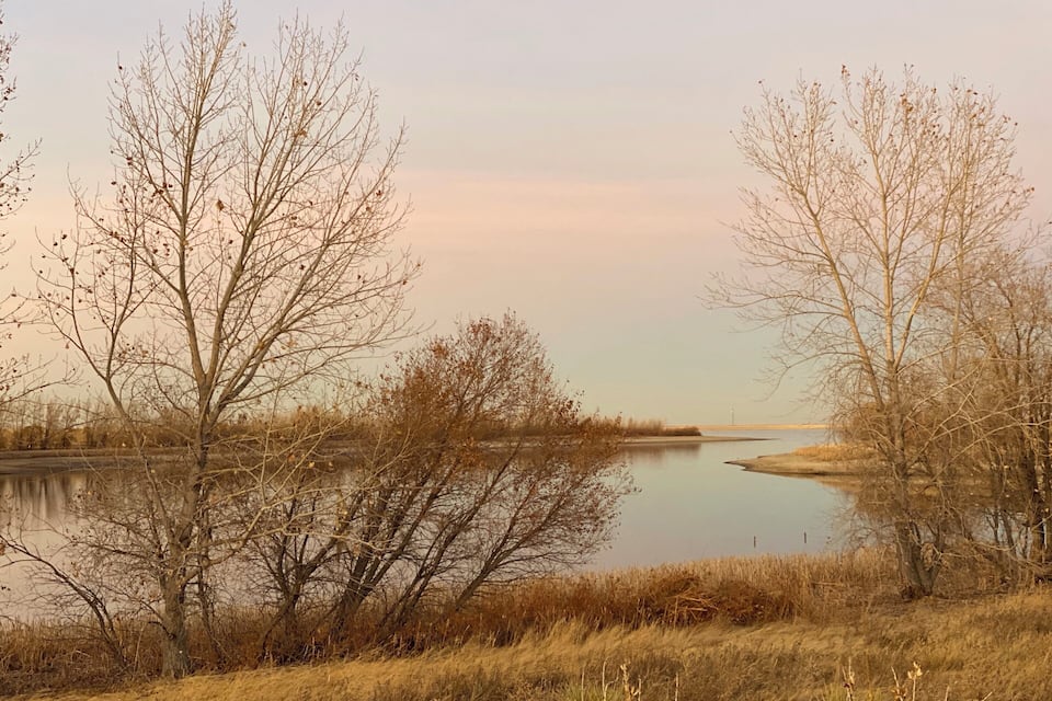 A calm river with leafless trees and grassy banks.
