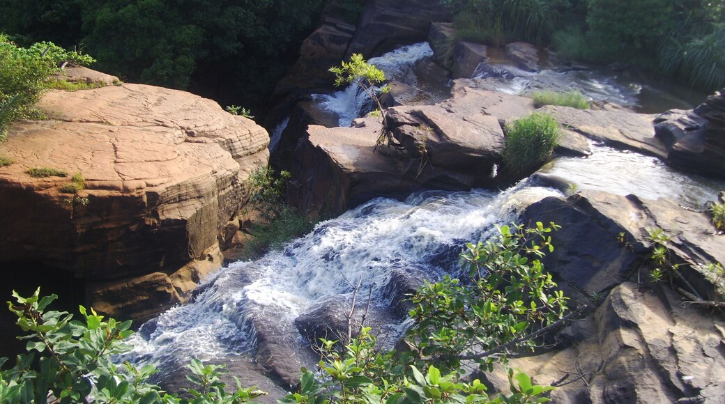 بوبو ديولاسو