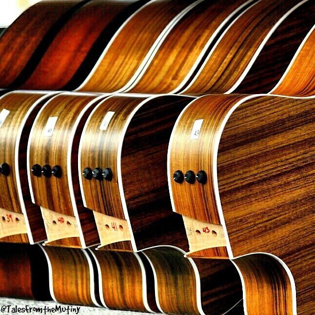 Small group tours through the Taylor Guitar Factory make this a great experience. Talk to the designers, watch the craftsmanship go into each piece and then feel free to play a little tune (no Stairway allowed!!) at the end of the tour. 