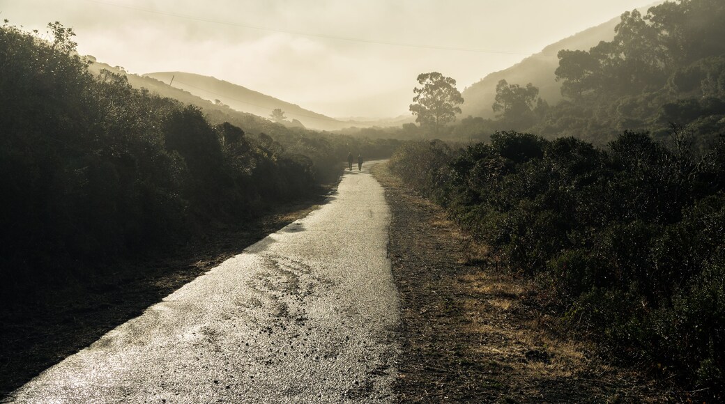 San Bruno