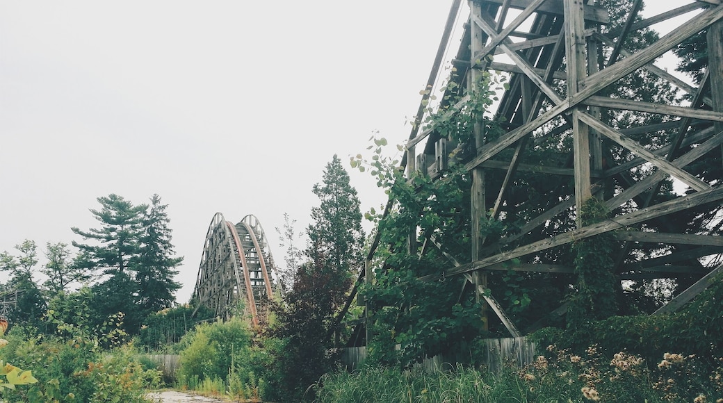 the old coaster at the abandoned geauga lake amusement park.