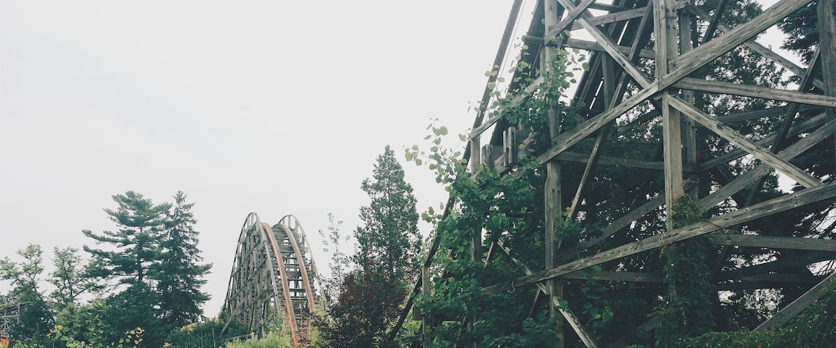 A dilapidated roller coaster, overgrown vegetation, and a concrete path.