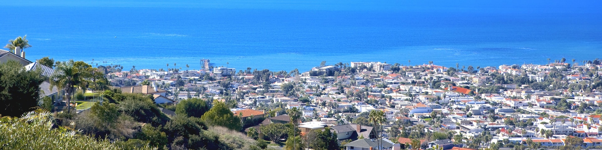 A coastal town with dense housing, palm trees, and a clear view of the ocean.