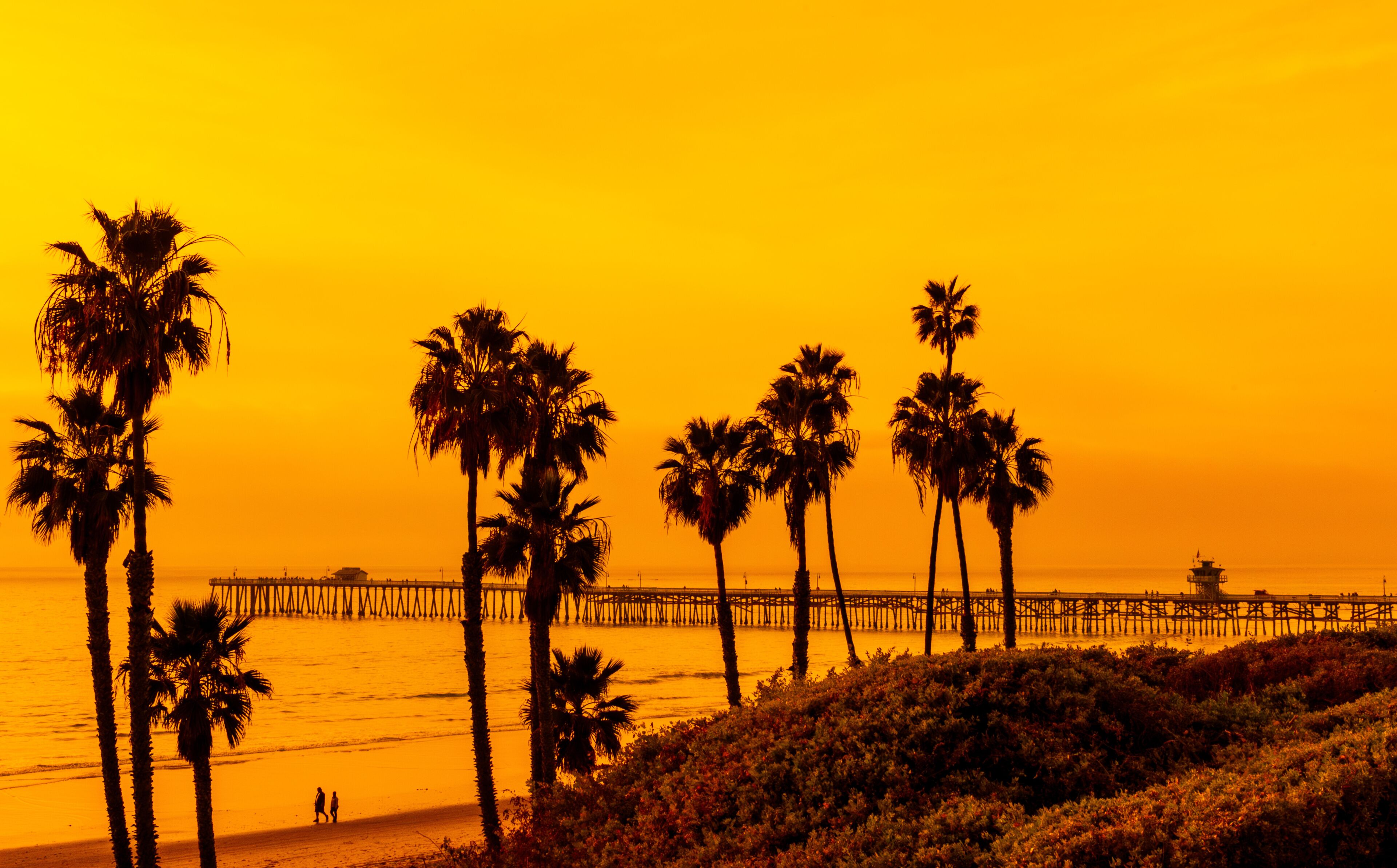San Clemente Pier at sunset with palm tree silhouettes and golden sky along Southern California coast

