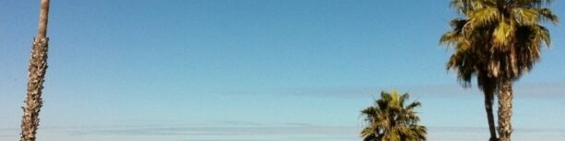 Uma praia com palmeiras, um píer que se estende para o oceano e céu azul límpido.