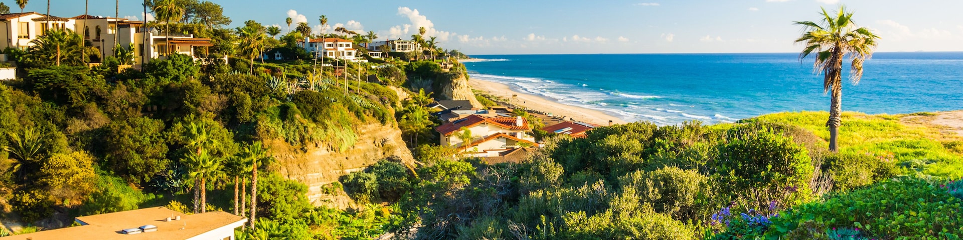 Flowers on a hill and view of houses and the Pacific Ocean in San Clemente, California.; Shutterstock ID 255639565