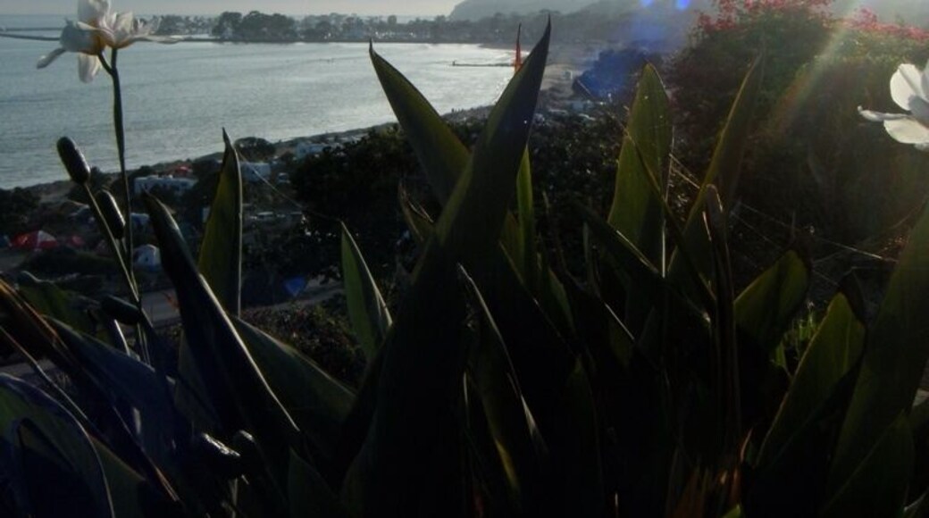Looking over PCH at Capistrano Beach near sunset.
