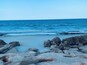 A rocky beach with waves crashing onto the shore.