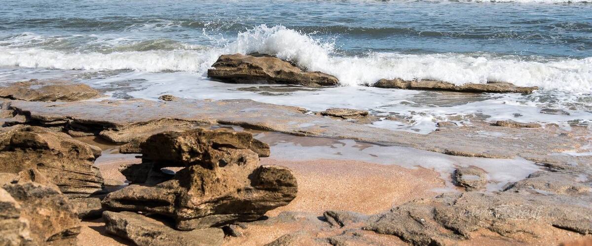 Seriously, it really was the most perfect day! You MUST SEE THIS PARK! If you do anything in the area... #BeachBound