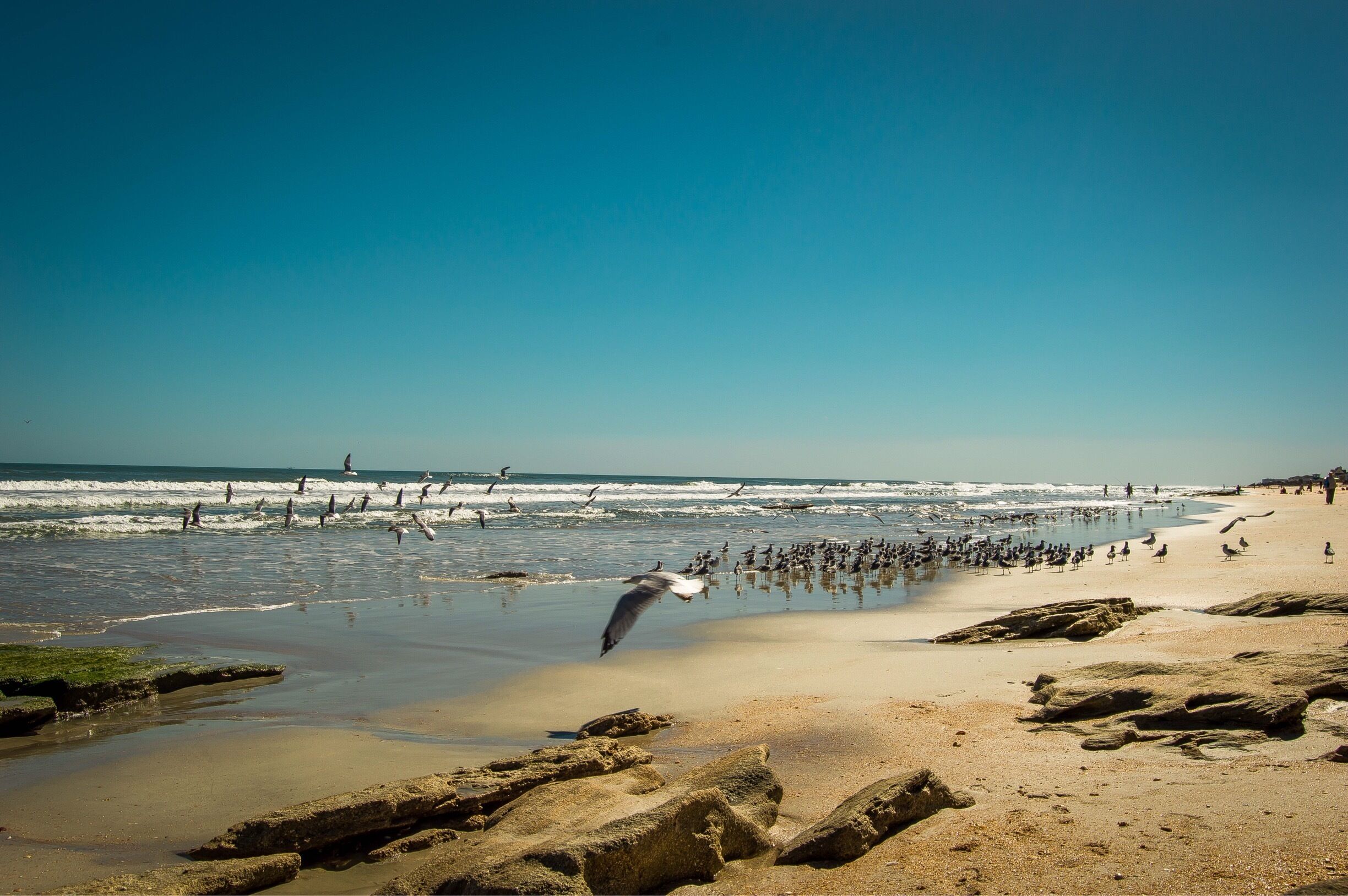 If you're in the area, this beach was SUCH a score! The sand was this beautiful, soft tan color. My son loved exploring the small tide pools and climbing up the coquina rocks!