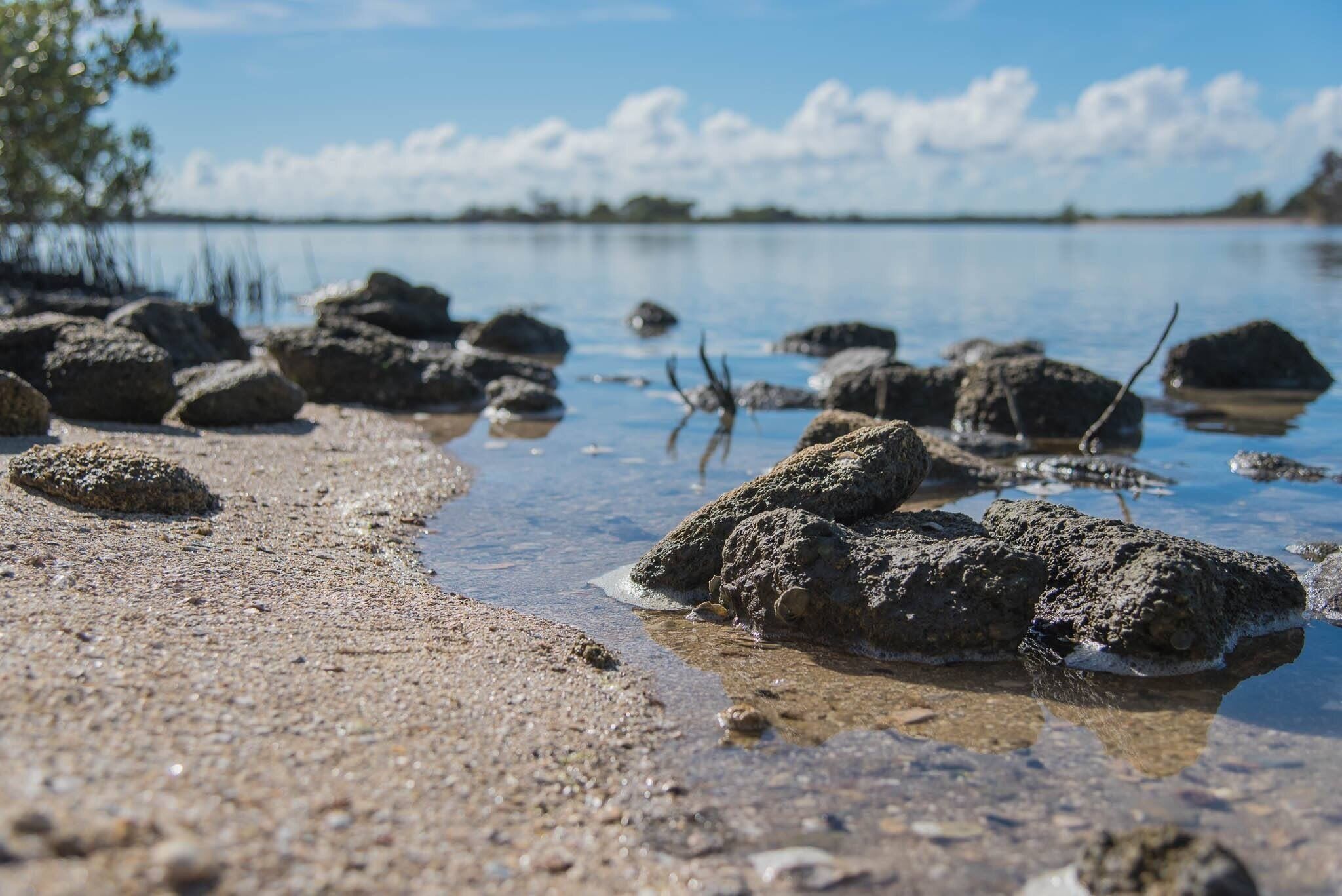 One of the best parks in FL! Fishing, boating, swimming, anything... the bay and the ocean are at your will :) #BeachBound 