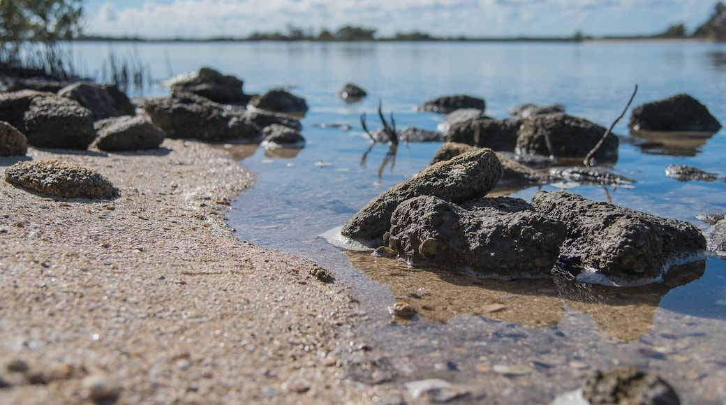 One of the best parks in FL! Fishing, boating, swimming, anything... the bay and the ocean are at your will :) #BeachBound