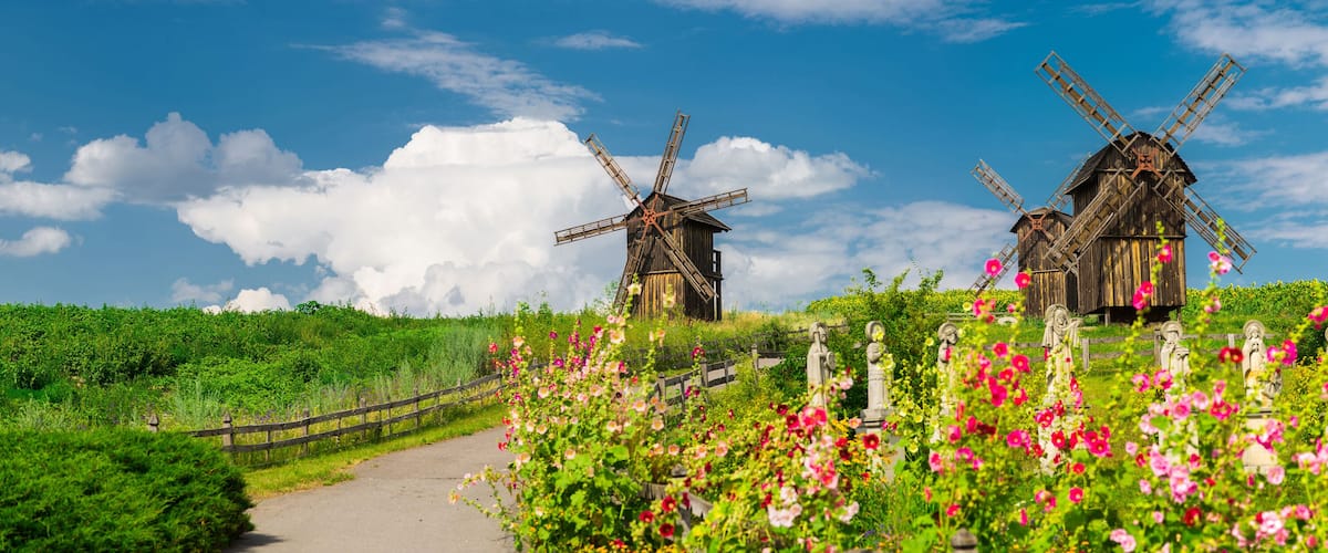 A pathway leading to two windmills surrounded by lush greenery and vibrant flowers.