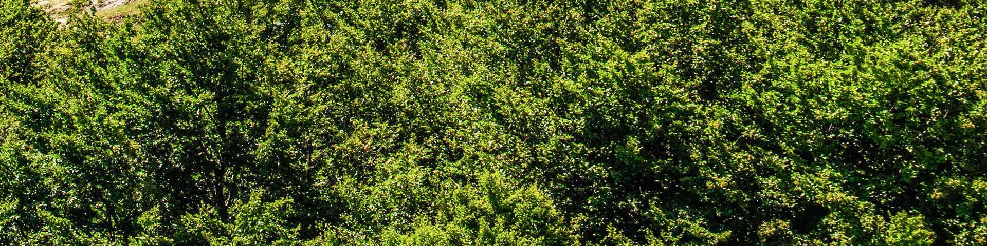 The Shipka Monument.
It honors those Bulgarians and Russians who died in The Battle of Shipka Pass.
The Battle of Shipka Pass were actually 4 battles that were fought between the Russian Empire, Bulgarian soldiers and the Ottoman Empire for control over the vital Shipka Pass during the Russo-Turkish War (1877–1878). The war resulted in the formation of the current Third Bulgarian State.
It is a sacred place for Bulgarians.