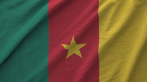 Cameroon flag depicted on folded wavy fabric of old cloth close up