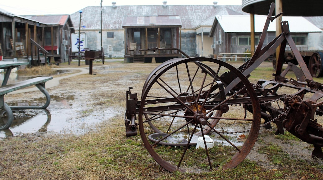 The Shack Up Inn: Beer and Breakfast
